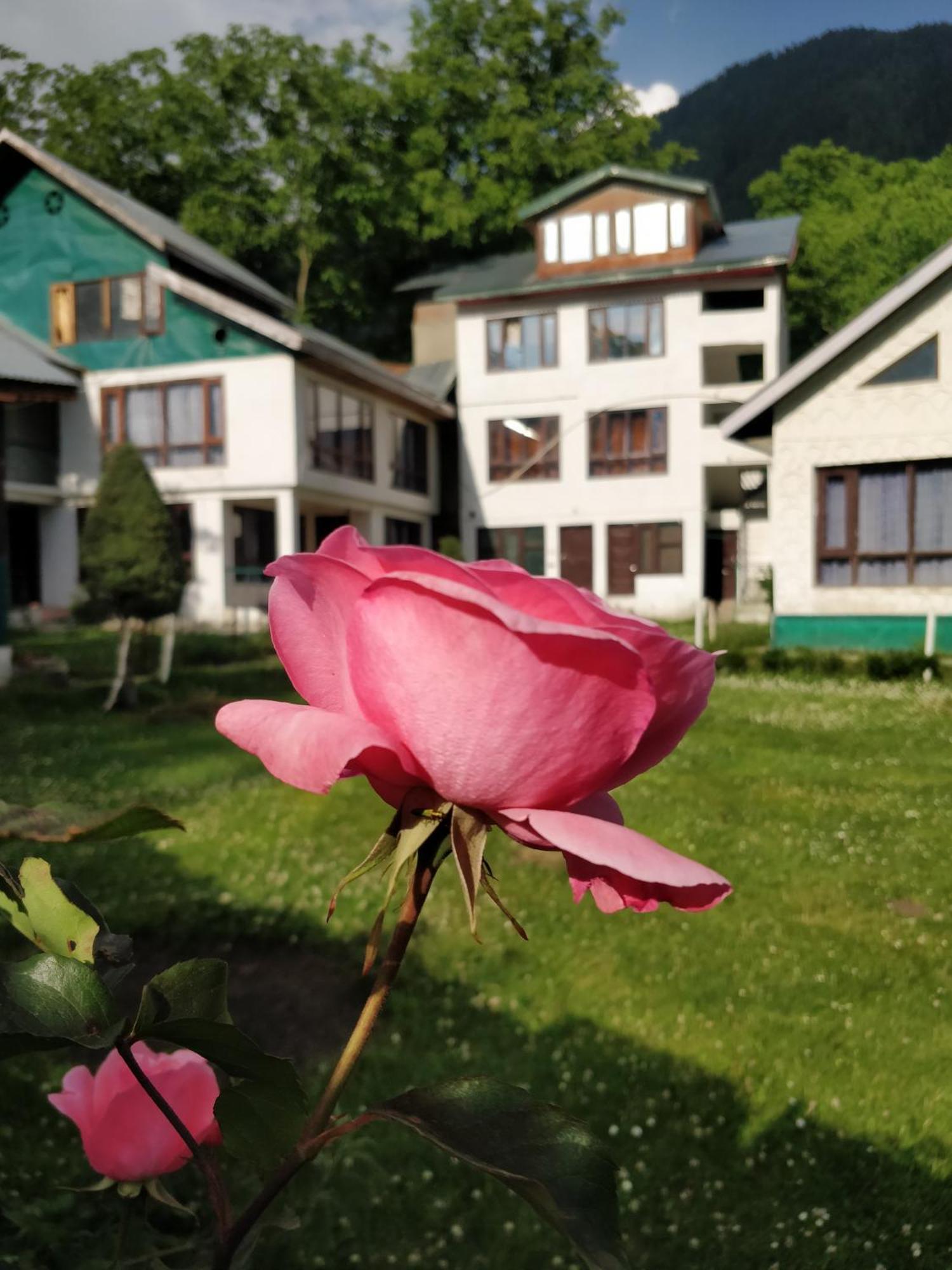 The K2 Alpine Hotell Pahalgām Exteriör bild